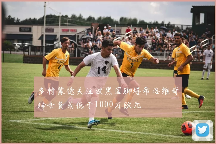 多特蒙德关注波黑国脚塔希洛维奇转会费或低于1000万欧元