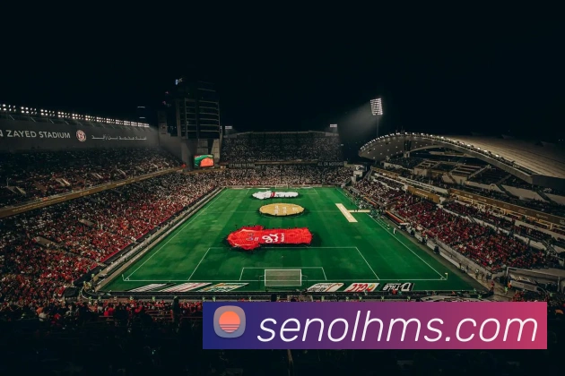奇异果网页版平台生态图